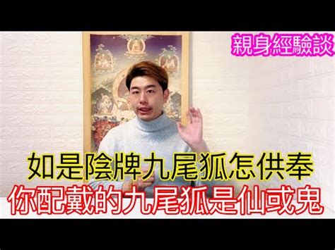 九尾狐水晶擺放位置 腰纏萬貫意思